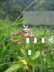 訴訟離婚房產(chǎn)如何評估?(離婚財產(chǎn)評估怎么評估)