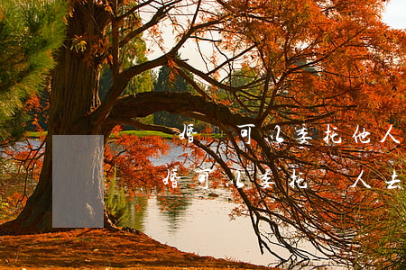 訴訟離婚時可以委托他人不到場嗎(去法院起訴離婚可以委托別人去嗎)