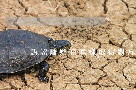 訴訟離婚時怎樣取得對方有第三者的證據