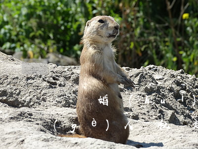 訴訟離婚會(huì)調(diào)查個(gè)人隱私嗎(起訴離婚時(shí)可以調(diào)查對方私生活嗎)