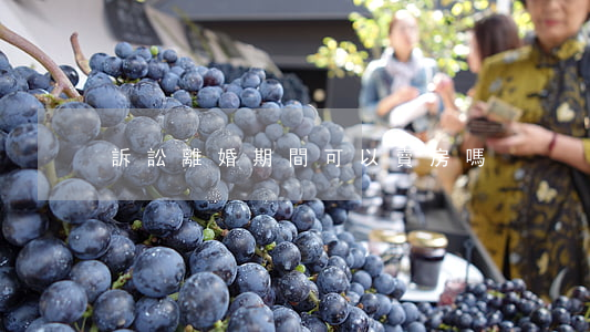 訴訟離婚期間可以賣房嗎
