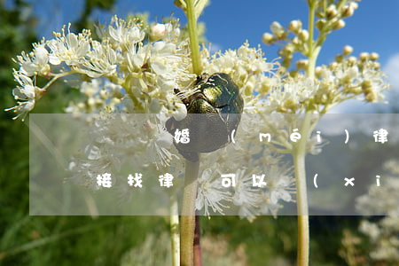 訴訟離婚沒(méi)律師可以嗎(不起訴直接找律師可以協(xié)議離婚不)