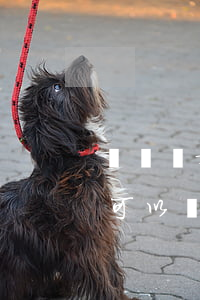 訴訟離婚沒(méi)有結(jié)婚證可以離嗎(沒(méi)有結(jié)婚證怎么起訴離婚?)