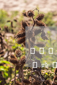 訴訟離婚沒有結(jié)婚證可以嗎(訴訟離婚沒有結(jié)婚證可以離嗎?)