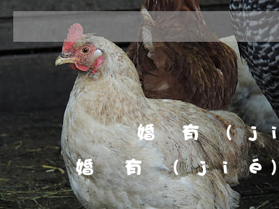 訴訟離婚無有結(jié)婚證可以離嗎(離婚沒有結(jié)婚證可以離婚嗎)