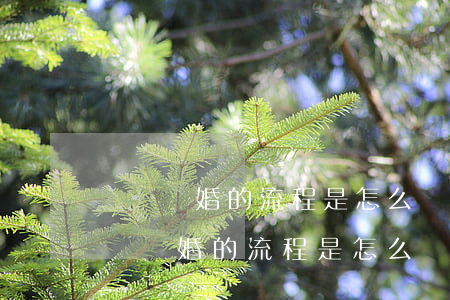 訴訟離婚的流程是怎么進(jìn)行的(訴訟離婚的流程是怎么進(jìn)行的?需要準(zhǔn)備哪些資料)
