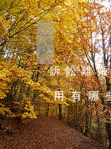 訴訟離婚的相關(guān)費(fèi)用有哪些