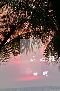 訴訟離婚能查出出軌嗎(起訴離婚出軌法院會查嗎)