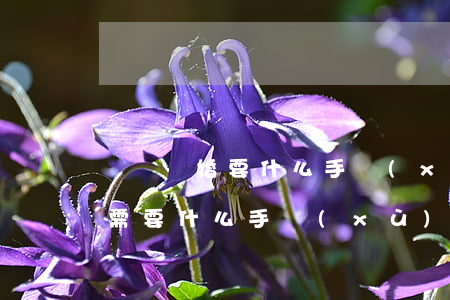 訴訟離婚要什么手續(xù)及證件(離婚證需要什么手續(xù)?)