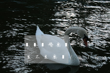 訴訟離婚要請(qǐng)律師嗎(起訴離婚是不是要請(qǐng)律師)