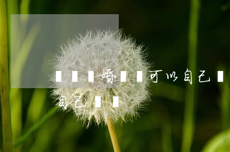 訴訟離婚訴狀可以自己寫嗎(離婚起訴書可以自己寫嗎?)