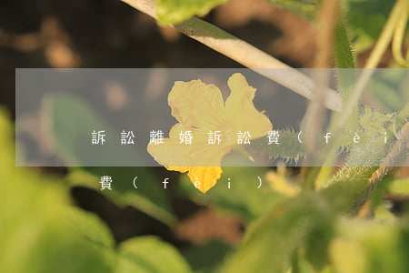 訴訟離婚訴訟費(fèi)咋收(離婚的訴訟費(fèi))