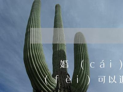 訴訟離婚財(cái)產(chǎn)分割費(fèi)可以退還嗎(離婚財(cái)產(chǎn)分割訴訟費(fèi)雙方承擔(dān)嗎)