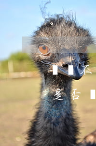診療不屬于醫(yī)療事故醫(yī)院是否還需擔責