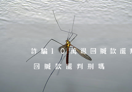 詐騙10萬退回贓款還判刑嗎(詐騙20萬退回贓款還判刑嗎)