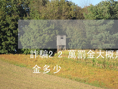 詐騙22萬罰金大概是多少(詐騙金額兩萬罰金多少)