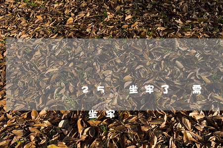 詐騙25萬坐牢了還需還嗎(詐騙5000塊錢會坐牢嗎)