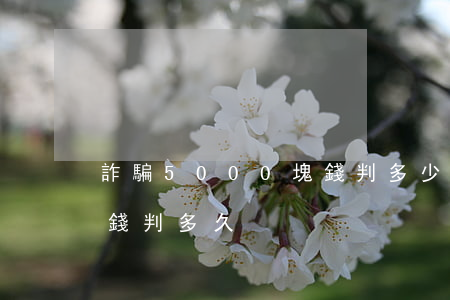 詐騙5000塊錢判多少年(詐騙1500塊錢判多久)