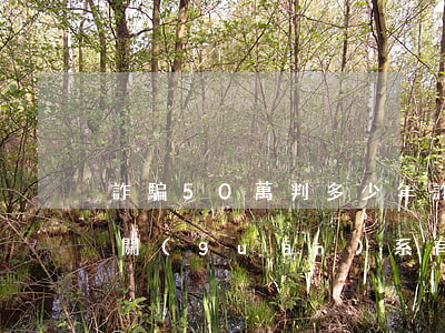 詐騙50萬判多少年(詐騙50萬判多少年靠關(guān)系有用嗎)