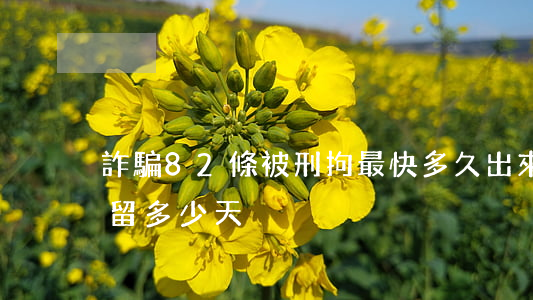 詐騙82條被刑拘最快多久出來(涉嫌詐騙拘留多少天)