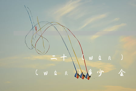 詐騙二十萬(wàn)罰金多少(詐騙20萬(wàn)多少罰金)