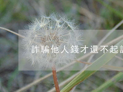 詐騙他人錢才還不起(詐騙他人錢才還不起)