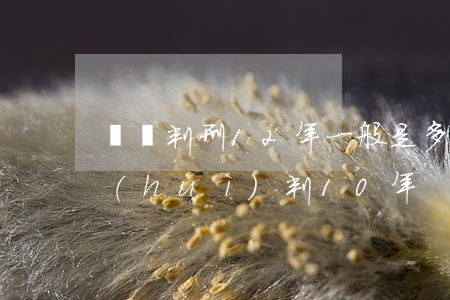 詐騙判刑12年一般是多少錢(詐騙多少錢會(huì)判10年)