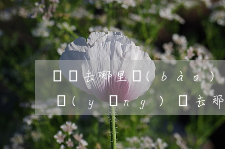 詐騙去哪里報(bào)警才給立案(詐騙案應(yīng)該去那里報(bào)案呢?)