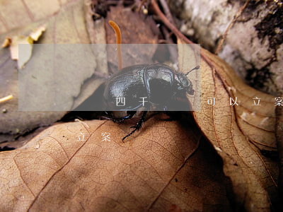 詐騙四千塊錢可以立案嗎(被騙四千塊錢可以立案嗎)