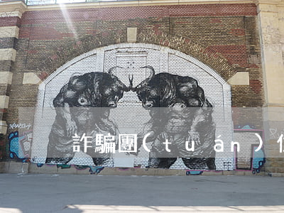 詐騙團(tuán)伙投資人算主犯嗎