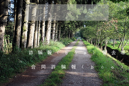 詐騙報(bào)警去哪里報(bào)警(合同詐騙報(bào)警去哪里報(bào)警)