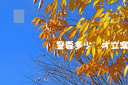 詐騙報警要多少錢才立案