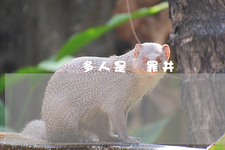 詐騙多人是數罪并罰嗎