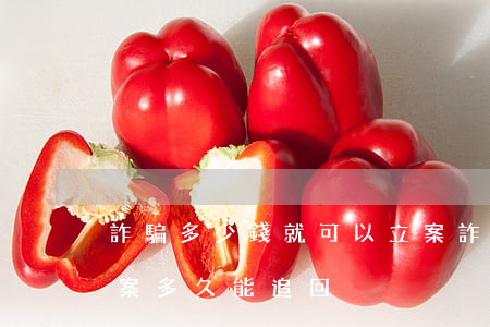 詐騙多少錢就可以立案(詐騙多少錢就可以立案多久能追回)