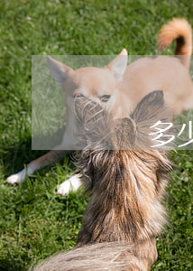 詐騙多少錢屬于刑事案件