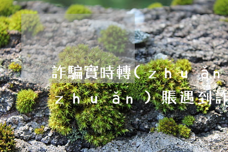 詐騙實時轉(zhuǎn)賬怎么追回(轉(zhuǎn)賬遇到詐騙怎么辦)