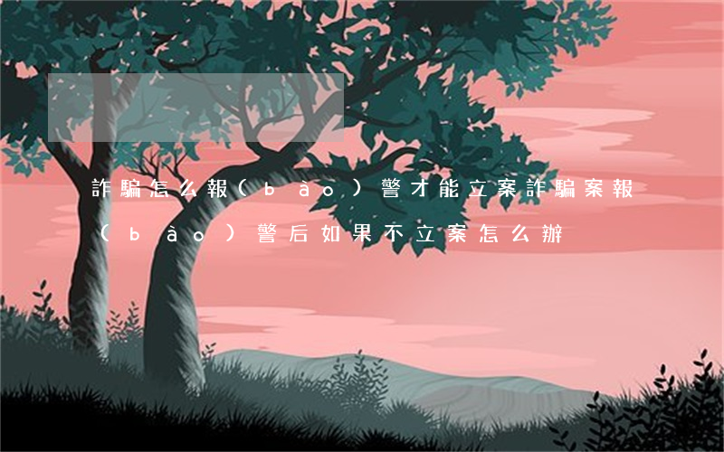 詐騙怎么報(bào)警才能立案(詐騙案報(bào)警后如果不立案怎么辦)