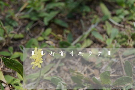詐騙打官司要多少錢