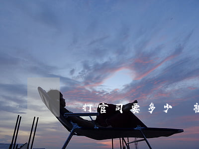 詐騙打官司要多少錢(被詐騙打官司成功率大嗎)
