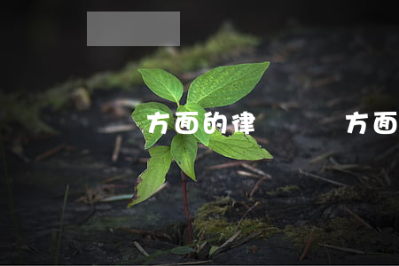 詐騙方面的律師(詐騙方面的律師咨詢)