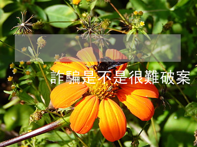 詐騙是不是很難破案