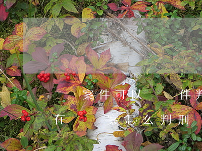 詐騙案件可以談條件判刑嗎?(現(xiàn)在詐騙案怎么判刑)