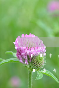 詐騙案受害人需要請(qǐng)律師嗎(詐騙案有必要請(qǐng)律師嗎)