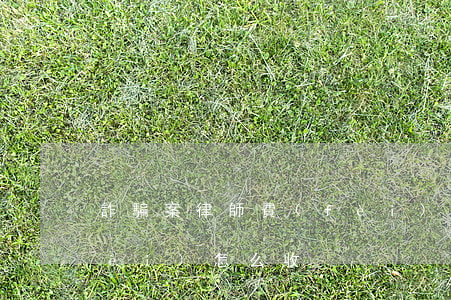 詐騙案律師費(fèi)(詐騙案律師費(fèi)怎么收)