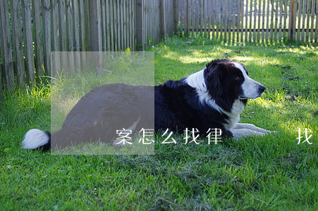 詐騙案怎么找律師(詐騙找律師有用嗎)