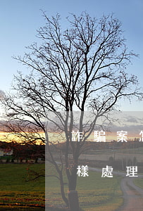 詐騙案怎么處理(涉及詐騙案會(huì)怎樣處理)
