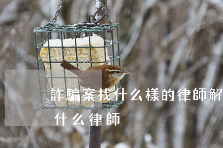 詐騙案找什么樣的律師解決問題(詐騙應該找什么律師)