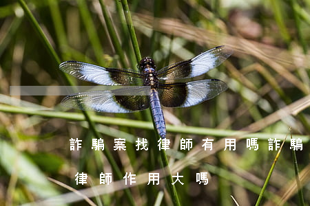 詐騙案找律師有用嗎(詐騙案請(qǐng)律師作用大嗎?)