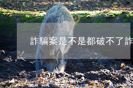 詐騙案是不是都破不了(詐騙是不是很難破案)