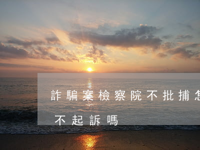 詐騙案檢察院不批捕怎么辦(詐騙檢察院可以不起訴嗎)